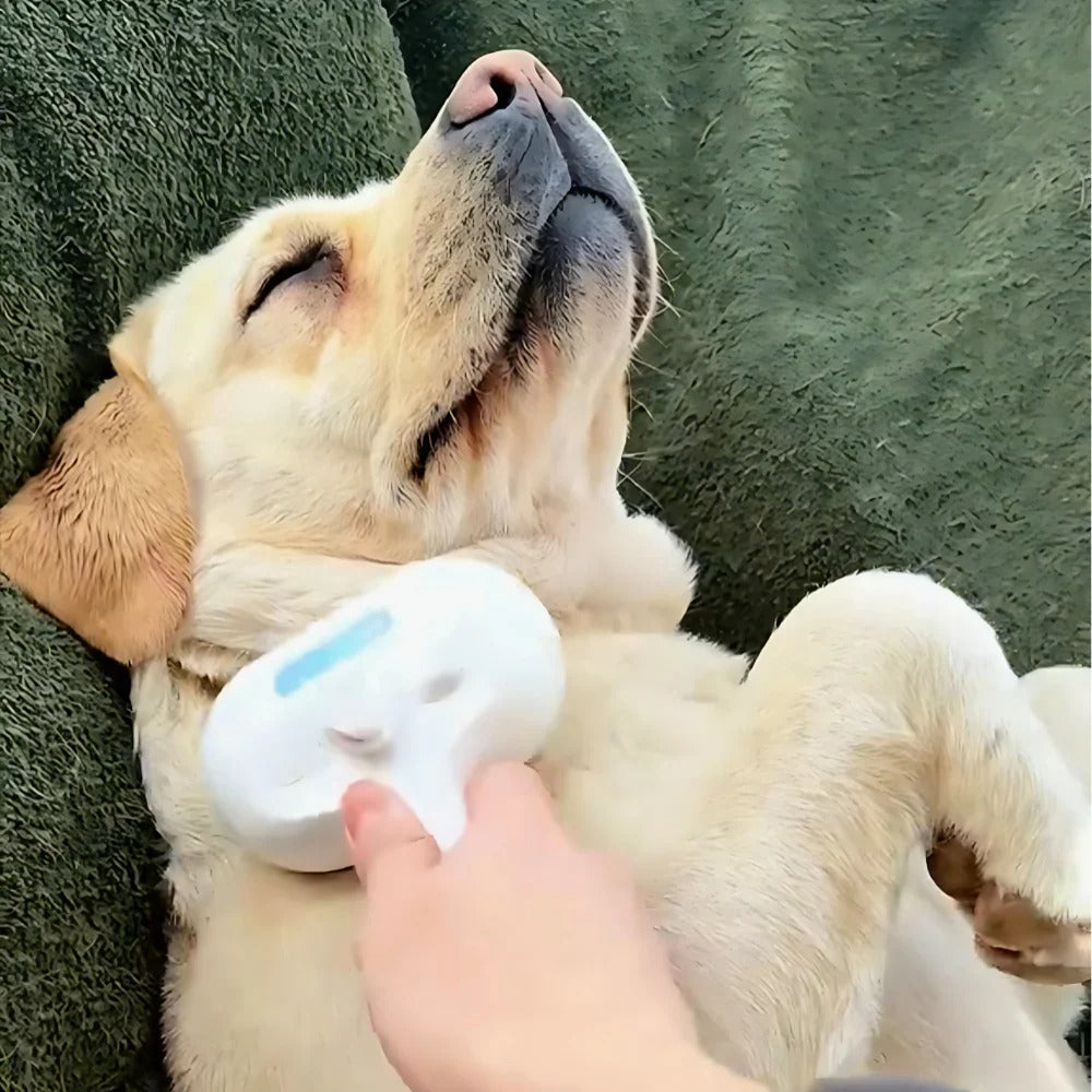 2-in-1 Self-Cleaning Cooling Pet Grooming Brush for Dogs & Cats